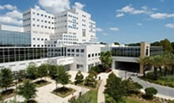 Mayo Clinic, Florida